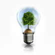 A light bulb with a tree inside