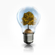 A light bulb with a tree inside