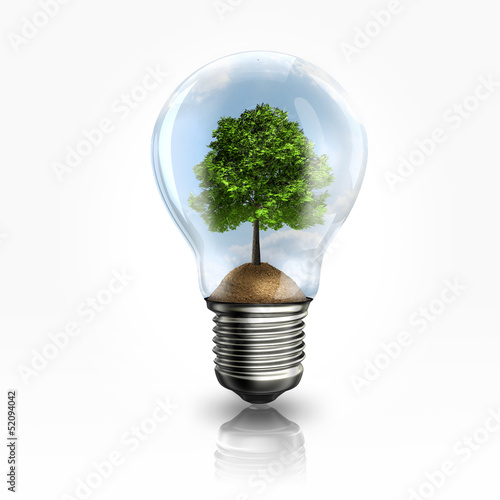 Illustration: A light bulb with a tree inside A light bulb with a tree inside