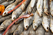 Fish shop