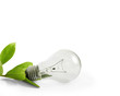 light bulb