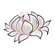 hand drawing water lily flower