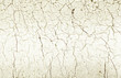 Photo: Rough ground background Rough ground background