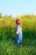nice child in the jeans coverall and red  bandana pluck flowers