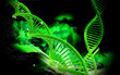 DNA