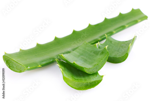 Photo: Aloe vera Aloe vera