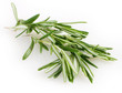 Fresh rosemary