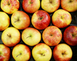 Äpfel