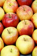 Äpfel