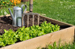 carré de potager
