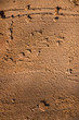 Textured sand background