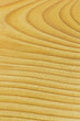 Pine wood texture