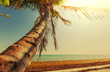 Tropical beach