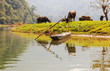 Vietnamese landscape