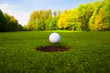 golf ball on lip of cup.