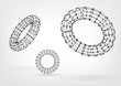 Vector: Composition of wireframe elements in the form of torus Composition of wireframe elements in the form of torus