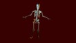 Dancing Skeleton Animation
