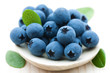 Foto: fresh blueberry fresh blueberry