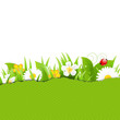 Green Torn Paper With Flowers And Grass