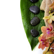 spa composition with beautiful orchid