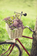 Vintage bicycle waiting near tree