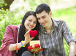 Couple with gift at green grass in the park