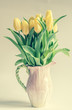Tulipani gialli