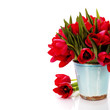 Photo: red tulips red tulips