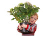 Kleines Kind mit Hortensie