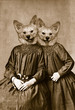 Twin sisters