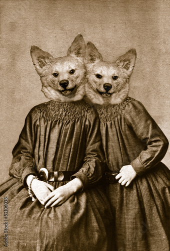 Photo: Twin sisters Twin sisters
