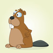 Beaver