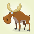 Moose