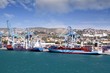 Photo: Container ship working with special cranes Container ship working with special cranes