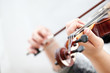 Violin