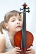 Violin