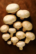 Mushrooms
