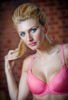 girl in swimsuit posing provocatively in front of a brick wall