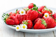 Erdbeere