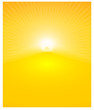 shiny sun beams, abstract summer background