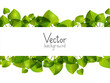 Green leaves background