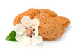 Almonds with leaves
