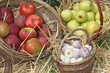 Wicker baskets on the market with the sale of red and Green appl