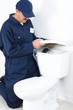 The worker and lavatory pan