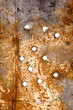 bullet holes in a plate