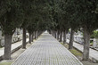 Walk in the Cemetery