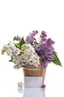 Photo: lilac lilac