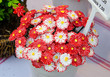 Blumen