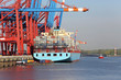 Containerriese am Kai