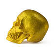 Human skull painted gold sideview